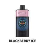 IGET ONE 12000 - Blackberry Ice