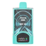 PICCO BREAK 30000 - Mint Ice