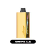 JNR CRUISER 12000 - Grape Ice