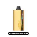 JNR CRUISER 12000 - Blueberry Blast