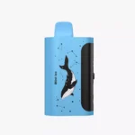 PICCO STAR 40000 - Mint Ice