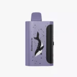 PICCO STAR 40000 - Blackberry Ice