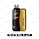 ALIBARBAR SWIRL 13000 - Blueberry Blast